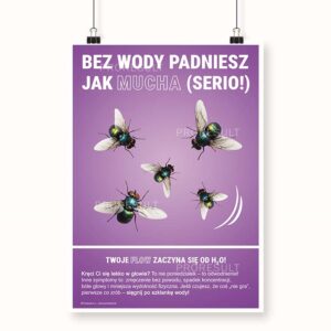 Na grafice jest przedstawiony fioletowy plakat z nadrukowanym muchami. Plakat nawiązuje do tematu nawodnienia. - Plakat BHP Proresult