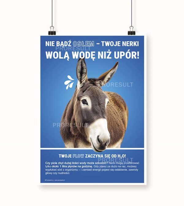 Grafika przedstawia niebieski plakat z nadrukowanym osłem. Plakat nawiązuje do nawodnienia - Plakat BHP Proresult